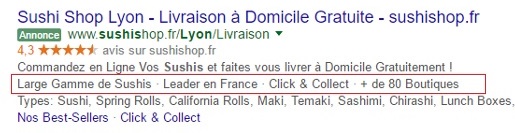 extension accroche adwords